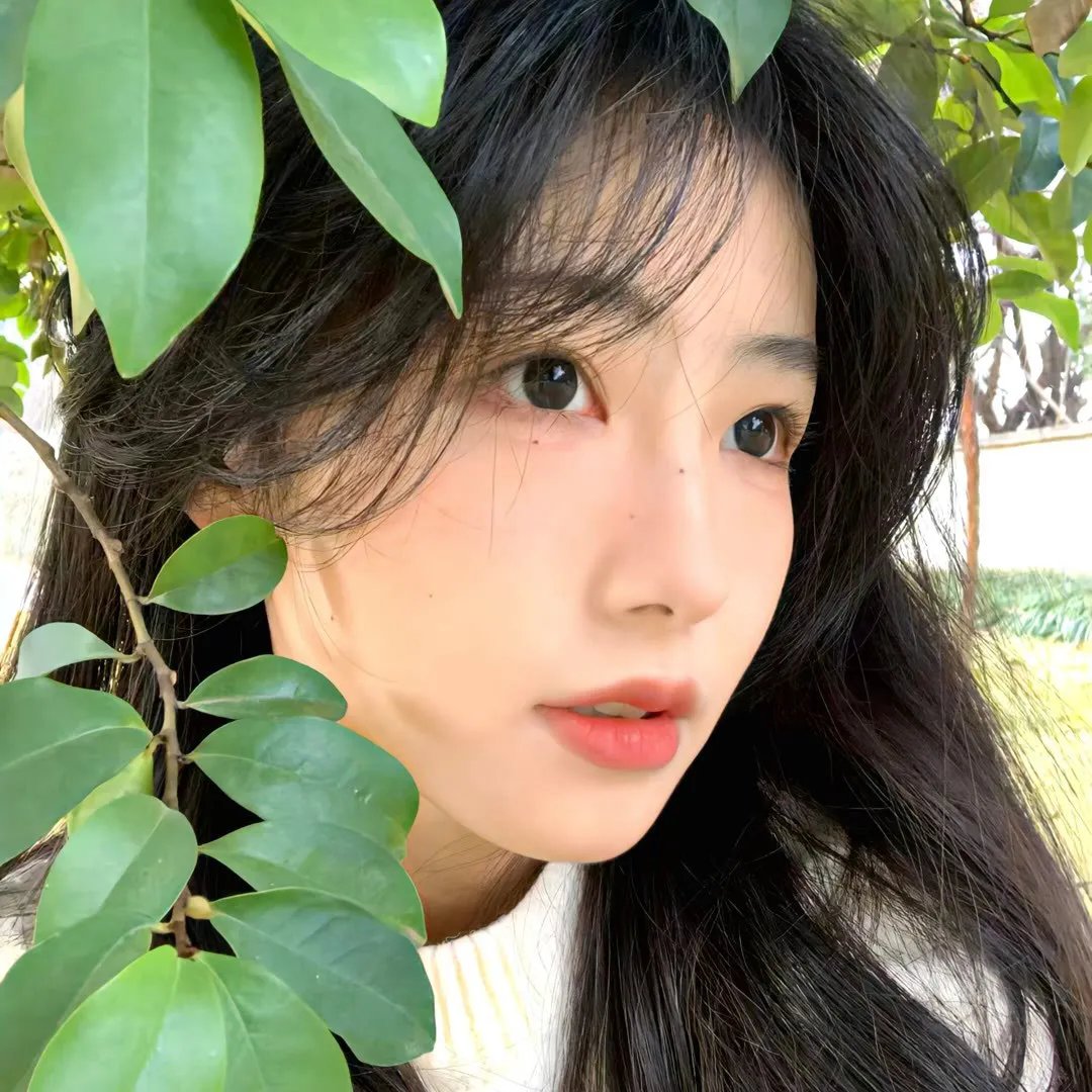 失眠者的避难所